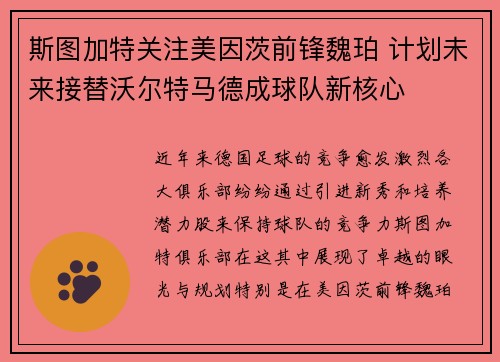 斯图加特关注美因茨前锋魏珀 计划未来接替沃尔特马德成球队新核心